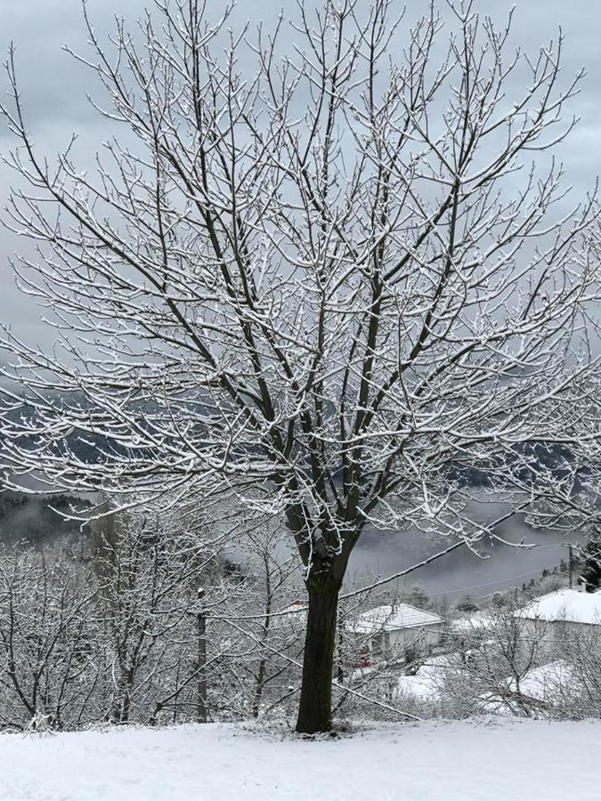 Mikro Katafygio Stavli Exteriör bild