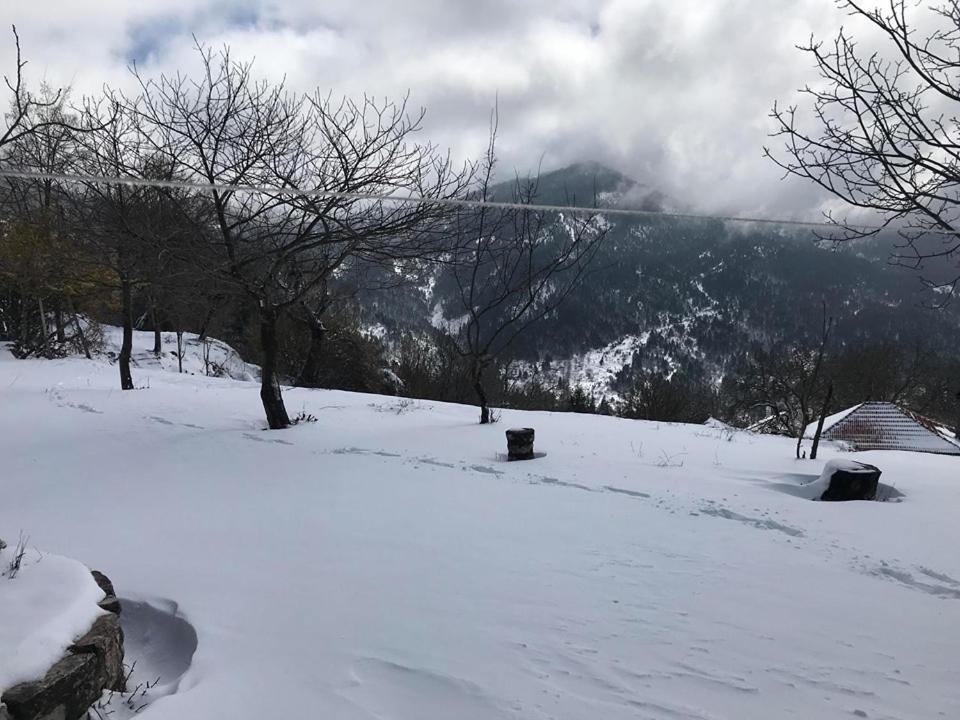 Mikro Katafygio Stavli Exteriör bild
